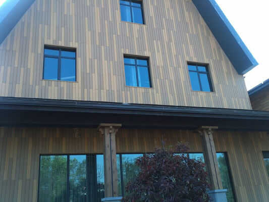 Penjualan Panas Pelapis Dinding WPC Co-Ekstrusi 20X155mm